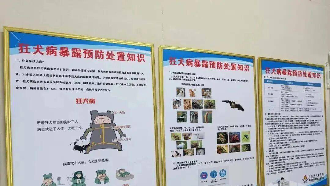 球友运动